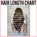 Haarlängentabelle zum Verständnis Ihres Haartyps und Ihrer Haarlänge für eine geeignete Stilauswahl
