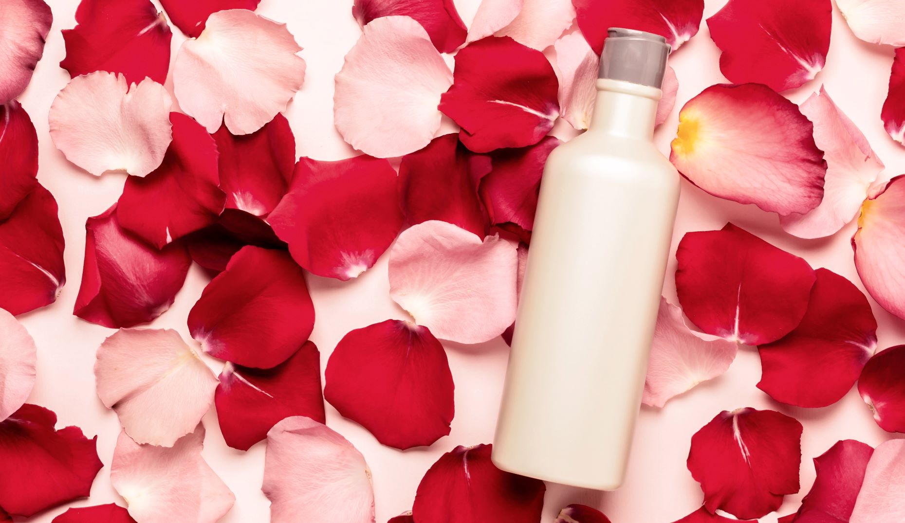 There’s Still Time To Celebrate National Rose Month With These Rose-Inspired Products