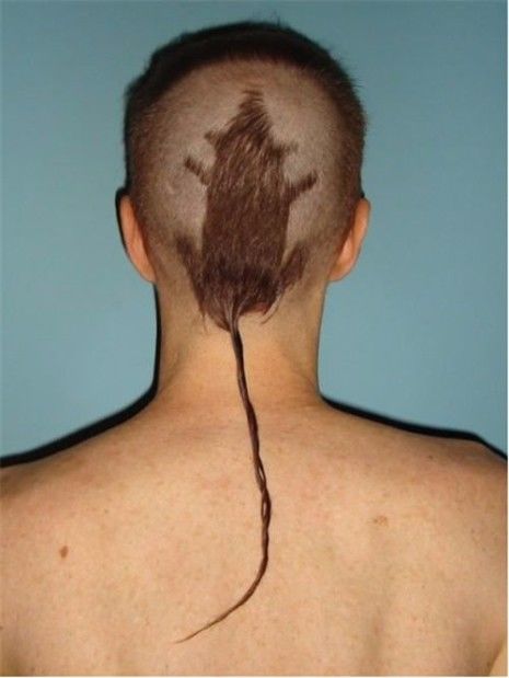 wörtlich-Rattenschwanz-lächerlicher-Haarschnitt