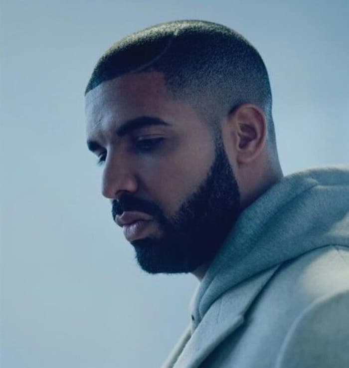 Bart und Haut verblassen Drake
