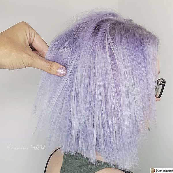 Pastell-Lavendel-Kurzhaar